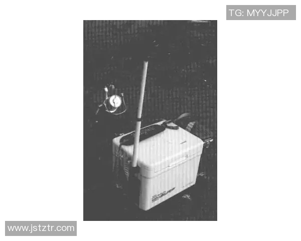 渔具选购与使用技巧全攻略助你成为钓鱼高手